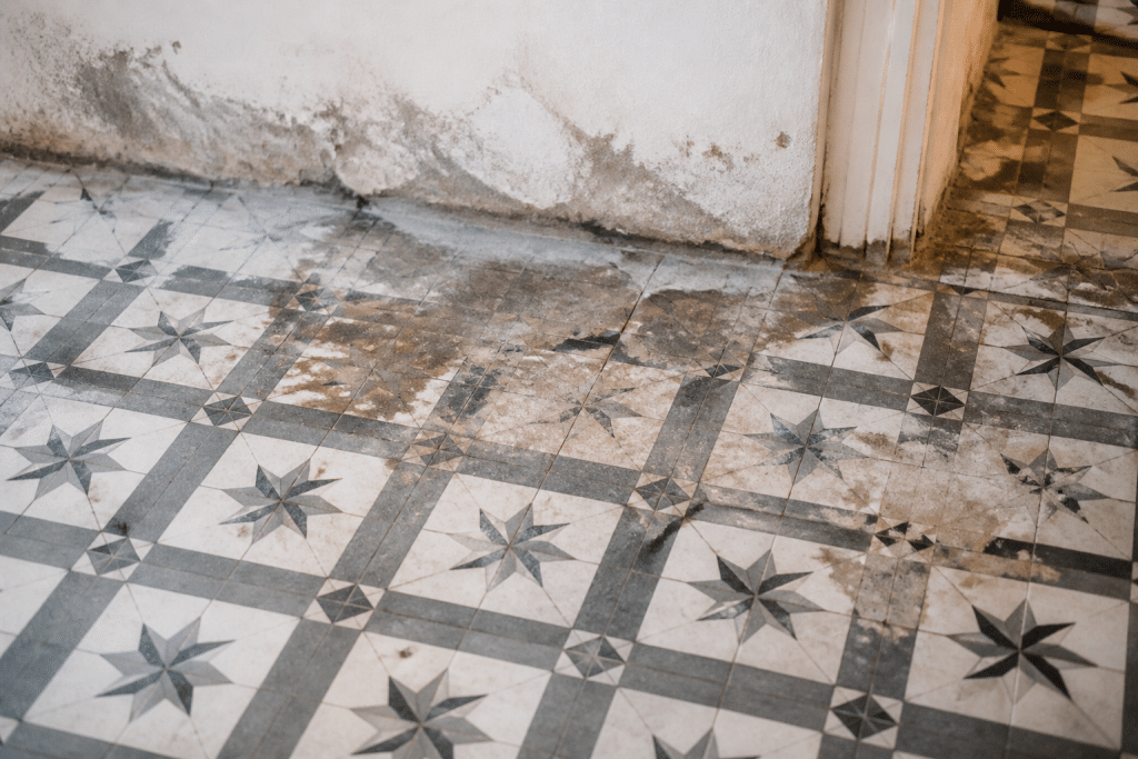 Carreaux ciment dommages eau infiltration finition endommagee